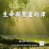 音頻下載–奇異恩典(二)生命與聖靈的律