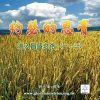 音頻下載–系列-約瑟的恩膏(一)(二)