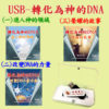 系列-轉化為神的DNA(一-三)(USB版)