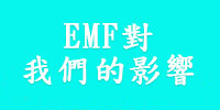 EMFbotton_02