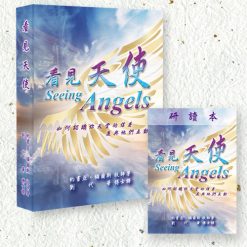 套書-看見天使+看見天使研讀本