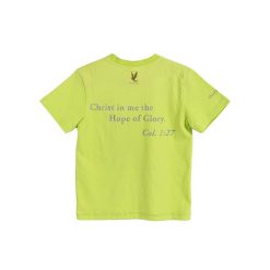 Alternative view of T-Shirt 新短版(手繪)翱翔是我的命定-粉綠鷹 Soaring is my destiny. (Eagle)