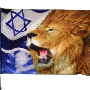 二手旌旗-以色列猶大之獅