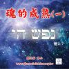 音頻下載-魂的成熟(一)