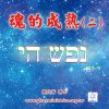 音頻下載-魂的成熟(二)