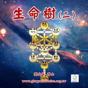 音頻下載--生命樹(二)