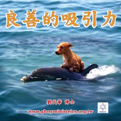 音頻下載–良善的吸引力